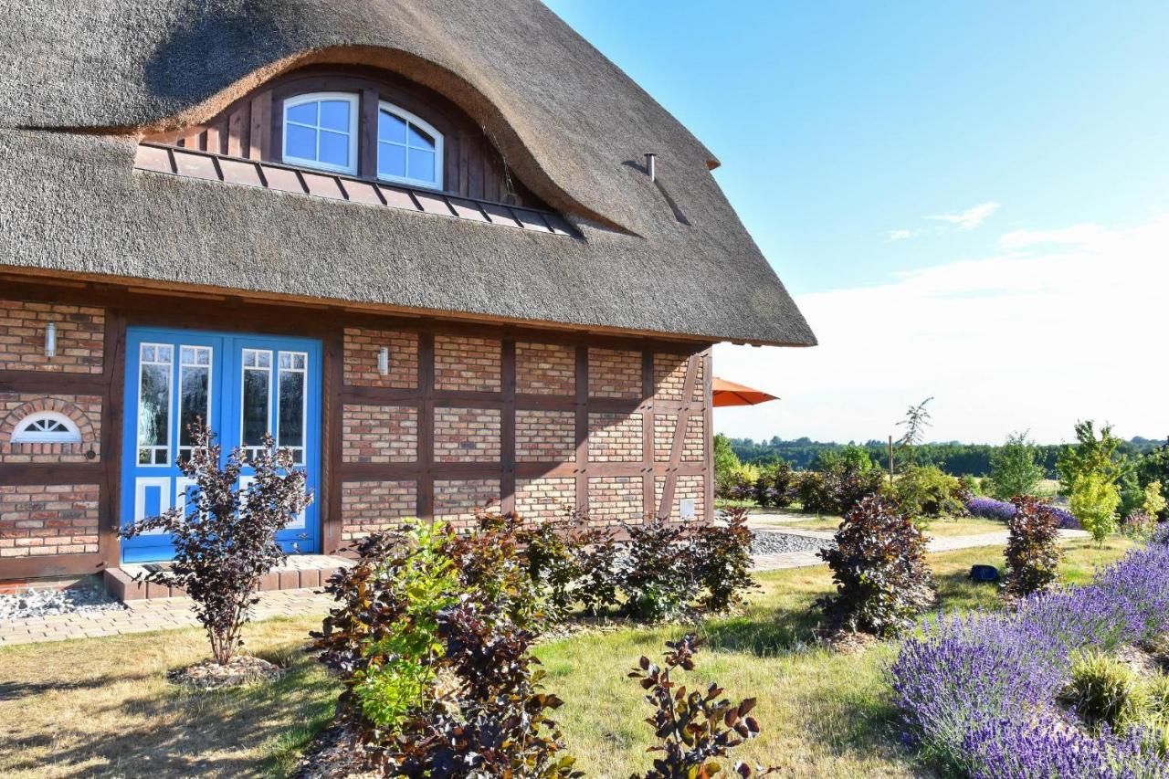 Ferienhaus Muehlenblick Pudagla Ngoại thất bức ảnh